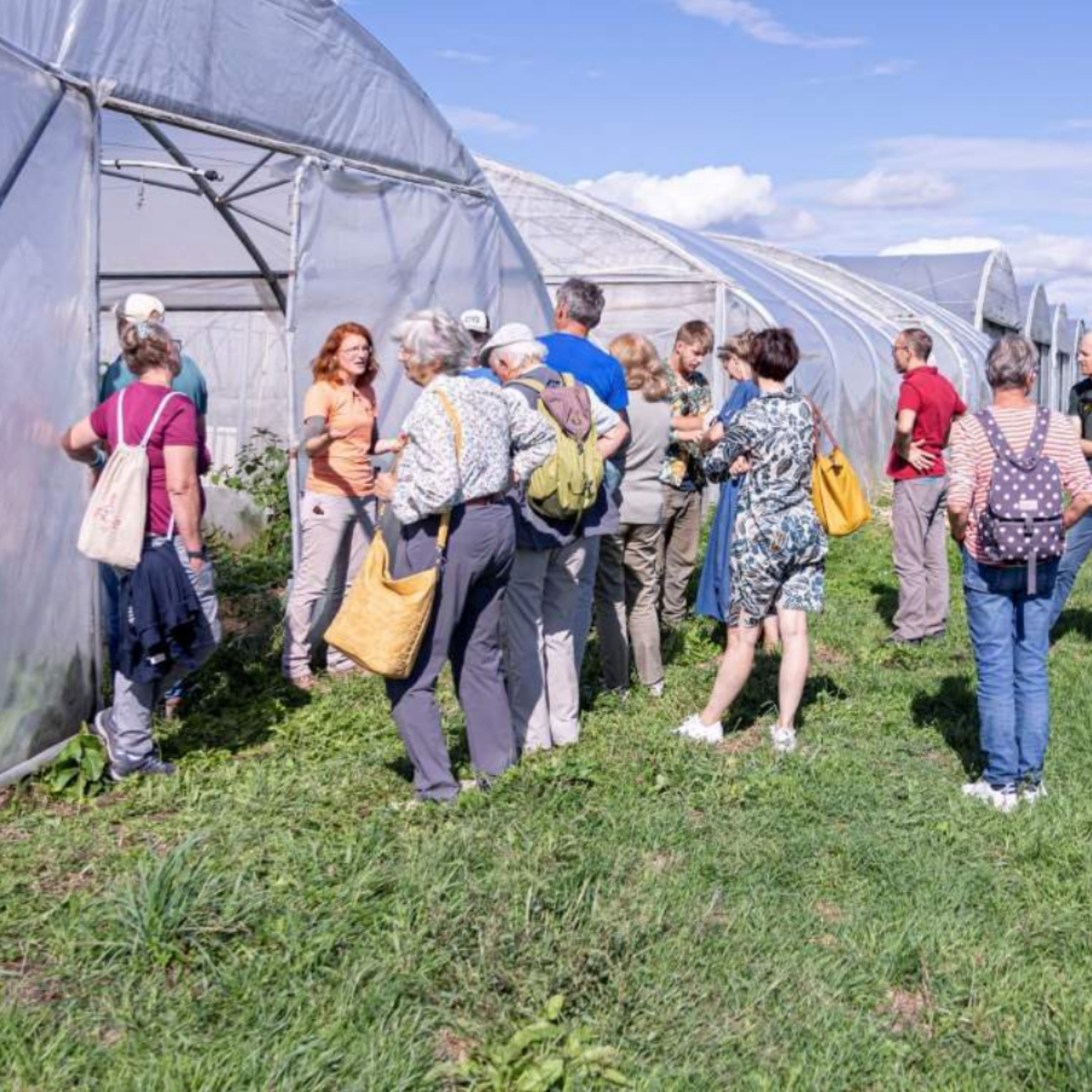 Insektenwelten in der Landwirtschaft (mit Postauto)