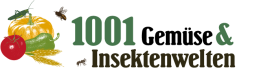 1001 Gemüse & Co.